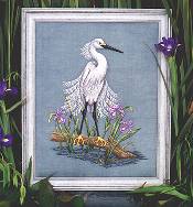 Snowy Egret