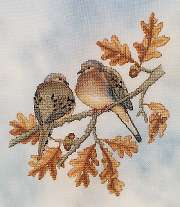 Mourning Doves